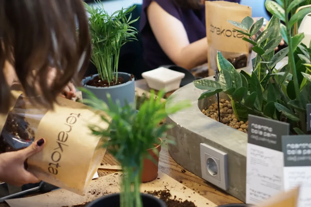 terakota bitki atölyesi bitki workshop bitki dikim etkinliği bitki bakım etkinliği plant talks